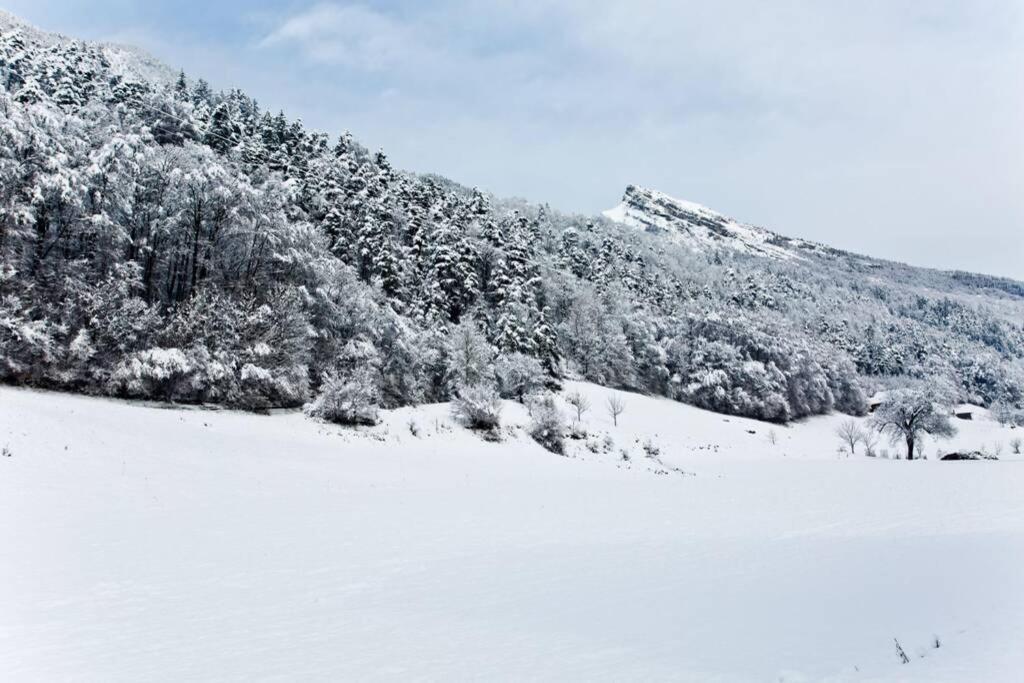 Appartement Nature Thônes Zewnętrze zdjęcie